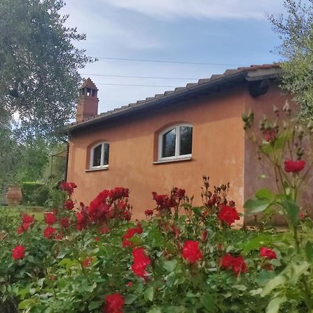La Casa Delle Rose Terranuova Bracciolini Exterior foto