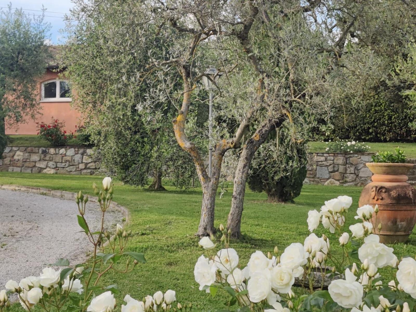 La Casa Delle Rose Terranuova Bracciolini Exterior foto